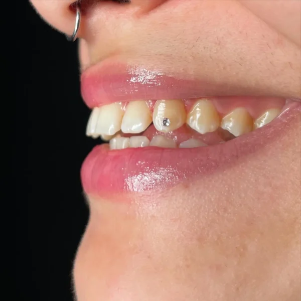 308DA88C-0EE2-490F-87BB-22C8CD9160E9